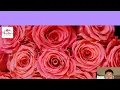 Floral Arrangements Same-Day Delivery in Isleta Pueblo NM Mauldin s Florist Flower Delivery