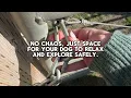 I found the BEST alternative to dog parks
