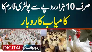poultry farm business plan in pakistan how much investment is needed and how to conduct business