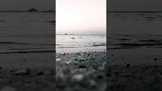 نازلی جان آی نازلی جان Shorts 