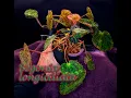 Download Lagu Begonia longiciliata (sizemoreae) - Begoniaceae
