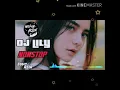 Download Lagu DJ Lily -Alan Walker ( Nofin Asia)
