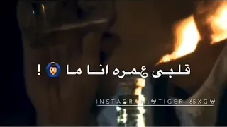 اغنيه طب والنبي حد يفهمهم  اغنيه طب والنبي حد يفهمهم