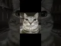 Download Lagu playboi carti - molly my bean (guitar remix - 1 hour [unreleased] )