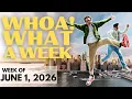 WHOA What A Week New York City Gavin Rossdale A 90 s Sitcom More