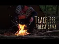 Download Lagu Simple Camping/Bushcraft in the Beech forest of South Sweden