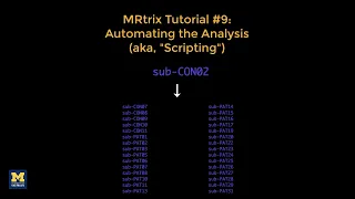 MRtrix Tutorial Scripting