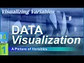 Data Visualization Create a PICTURE of our Variables 4-1
