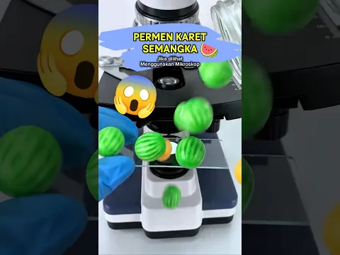 HENTIKAN! 🛑 Jangan Liat Permen Karet Ini Sedekat Mungkin! 😱🔍