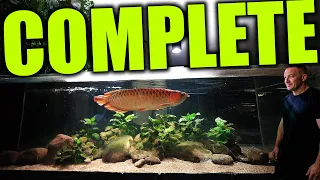 Asian arowana aquarium is COMPLETE! Scaping a monster fish tank and adding the fish! The king of DIY
