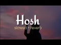 Lagu hosh || Nikk || slowed and reverb || lofi song || sad punjabi song