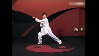 Tian Keyan Tian s Yin Yang Bagua Palm Python Palm 1