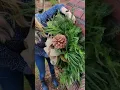 Merry Mailboxes badge installation