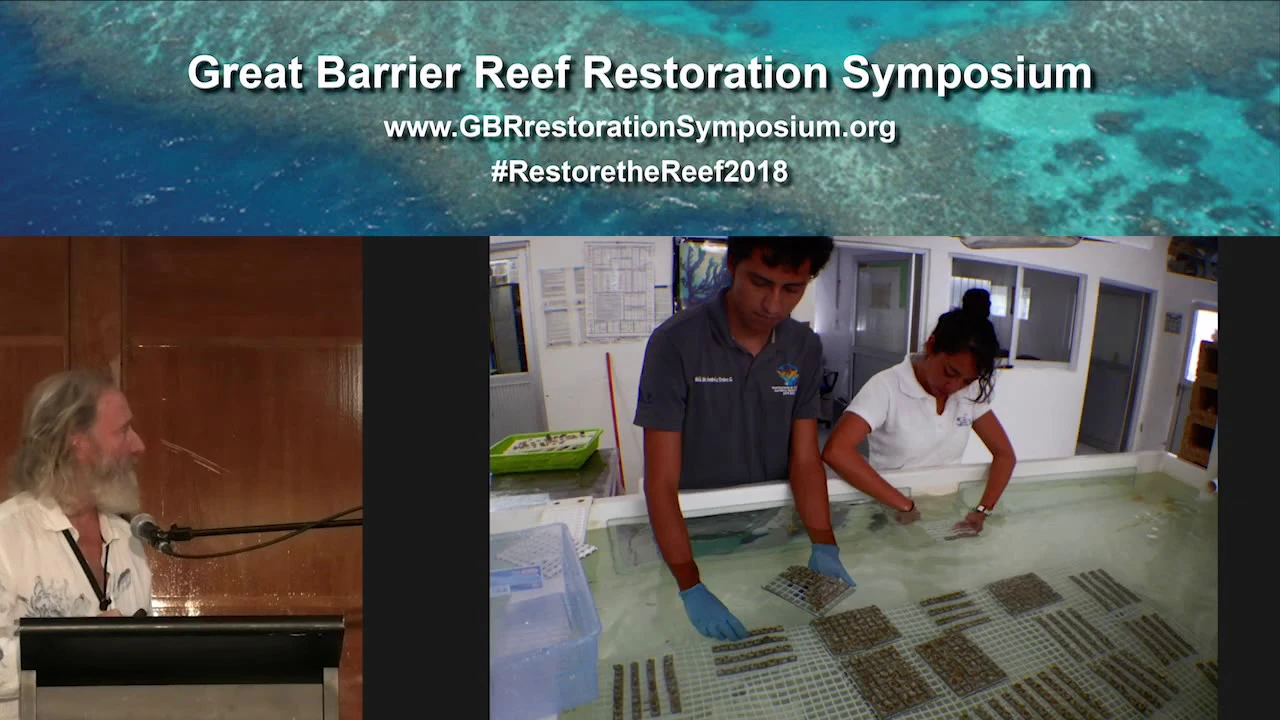 David Vaughn: Scaling up coral restoration using micro-fragmentation plus sexual reproduction