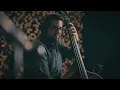 Jeff Denson / Romain Pilon / Brian Blade: "Daily Jubilee of Dancing Herbie D."