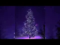 Download Lagu Lagu Natal Dj Jingle BellsTerbaru 2021/2022🎉🌲🎊🌲❤🎉💛🎊🌲💚🌲