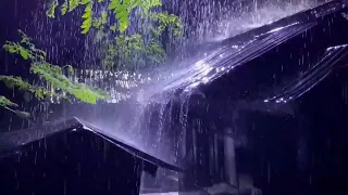 No ADS - Sleep Instantly with Heavy Rain Sounds 🌧️ Powerful Thunderstorm for Deep Sleep