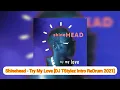 Download Lagu Shinehead - Try My Love (Lyrics)(DJ TStylez Intro ReDrum)[HQ 3D Audio Surround Sound Remastered] 4K