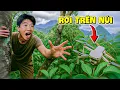 Download Lagu Tôi Mất Flycam Trên Núi – Một Mình Băng Rừng Tìm Lại | 1 Mình Đi Tour - Tập 2