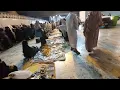 Download Lagu RAMAI SEKALI GAK NYANGKA TIBA2 ADA PASAR MLM DADAKAN DEKAT MASJIDIL HAROM