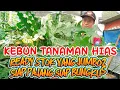 Download Lagu KEBUN TANAMAN HIAS ‼️READY STOK YANG JUMBO2 SIAP PAJANG SIAP BUNGKUS