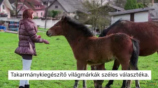 Válogass több ezer lovas termékeink között az AnivetDirect.hu-n!