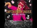 Download Lagu DJ CAPTIKUS DAN SAGUER (MARLEY NHTU) VIRAL TIKTOK2021