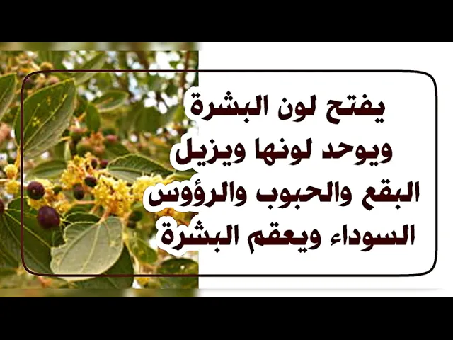 يفتح لون البشرة ويوحد لونها ويزيل البقع الداكنة والحبوب والرؤوس السوداء ويعقم البشرة