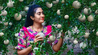 wood apple delights that sour u0026 sticky pulp to jam ice packets tasty masala u0026 more 
