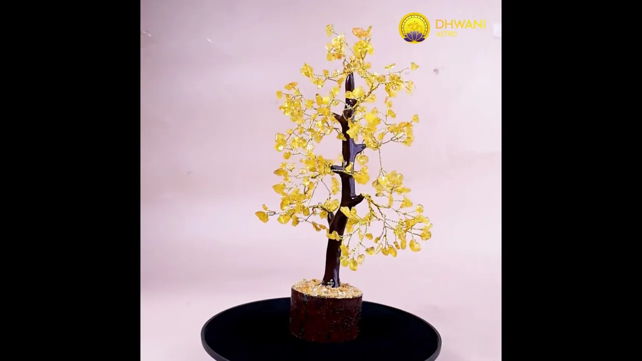 High Financial Status, Success in Job & Profession: Yellow Citrine Tree