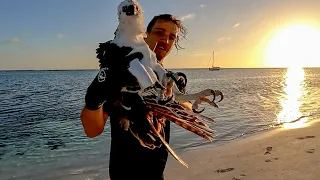 Osprey Rescue & Sanity Games  (Day 26/100 Day Water World Challenge)