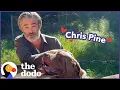 Chris Pine Goes on A Dodo Dream Date The Dodo
