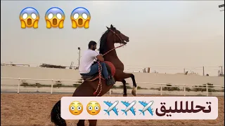كيف أخفف رأس حصاني   وأعلمه اللفات القوية والكر والفر     دندنها
