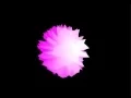 WebGL Pulse Transform