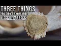 3 Things You Might Not Know About Deer Antlers