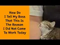 Download Lagu 50 Times Cats Proved They’re The Funniest, Weirdest, And Cutest Creatures Ever