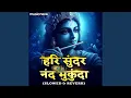 Download Lagu Hari Sundar Nand Mukund Lofi - Krishna Bhajan