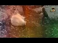 Monophonics x Kelly Finnegan - It's Only Us (fast)