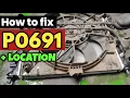 P0691 P0691 Fan 1 Control Circuit Low code p0691 p0691 obd2 dtc p0691