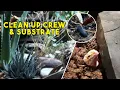 Setting Up A Successful Leopard Gecko Bioactive Tank ft Eco-Logic Gecko