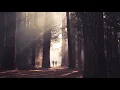 Vancouver Sleep Clinic - Killing Me To Love You
