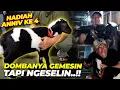 Download Lagu HADIAH ANNIV 4 | HAHH..!! DOMBA INI MIRIP BONEKA ATAU PANDA..??!