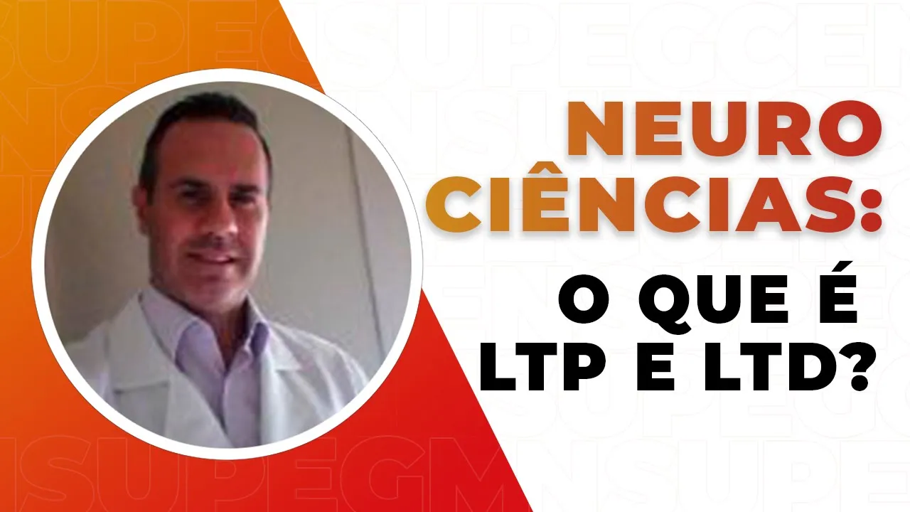 Neurociências: O que é LTP e LTD?