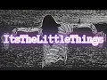 Bones - ItsTheLittleThings Powder
