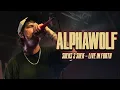 Download Lagu Alpha Wolf - Sucks 2 Suck (Live in Forth, TAS)