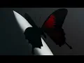 Post Malone - Waiting For A Miracle Clean