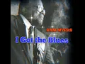 SAM MYERS ¤ I Got the Blues