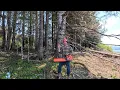 First Day Logging - Echo Timberwolf CS 590 Chainsaw Review