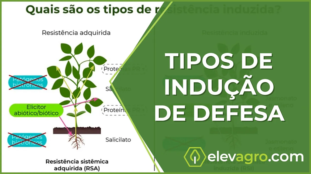 Quais os tipos de indução de defesa?