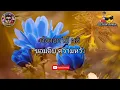 ดอกไม้ให้คุณ - หนุ่ม สกล (เนื้อเพลง)